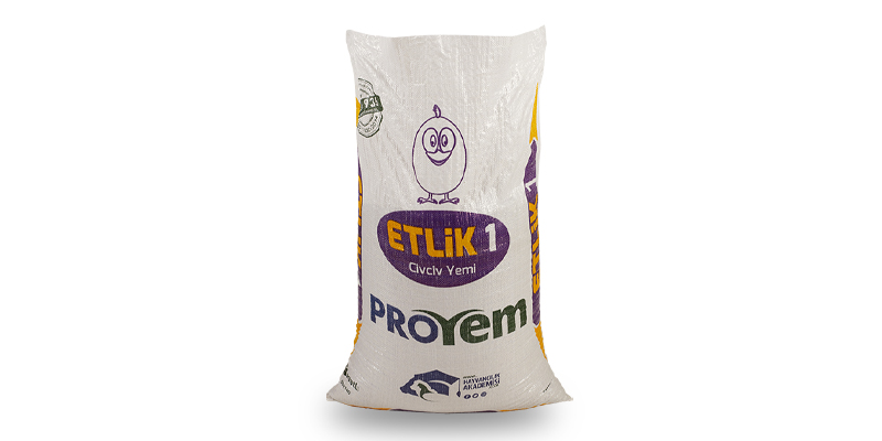 Broiler-1 (chick)